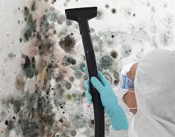 Best Emergency Mold Remediation in Perry Park, CO